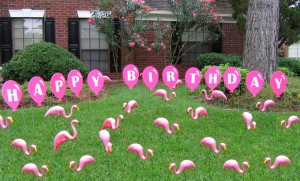 Flamingos & Pink HB Balloons