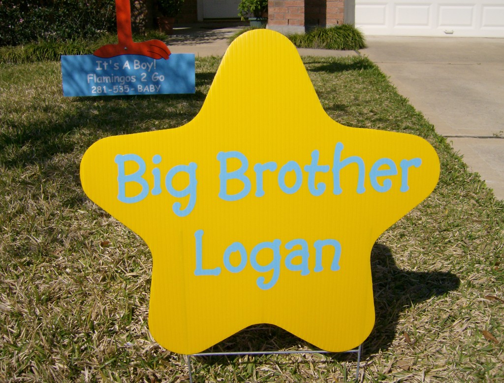 bigbrotherstar