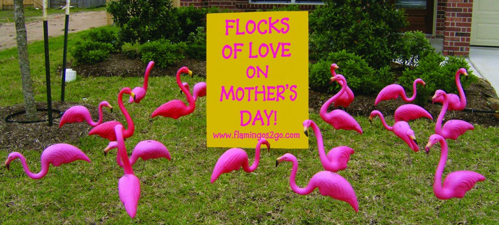 Mother's Day Flamingos