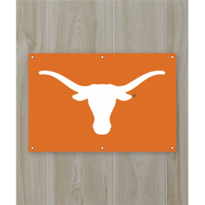 University of Texas Flag